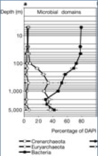 fig26.png