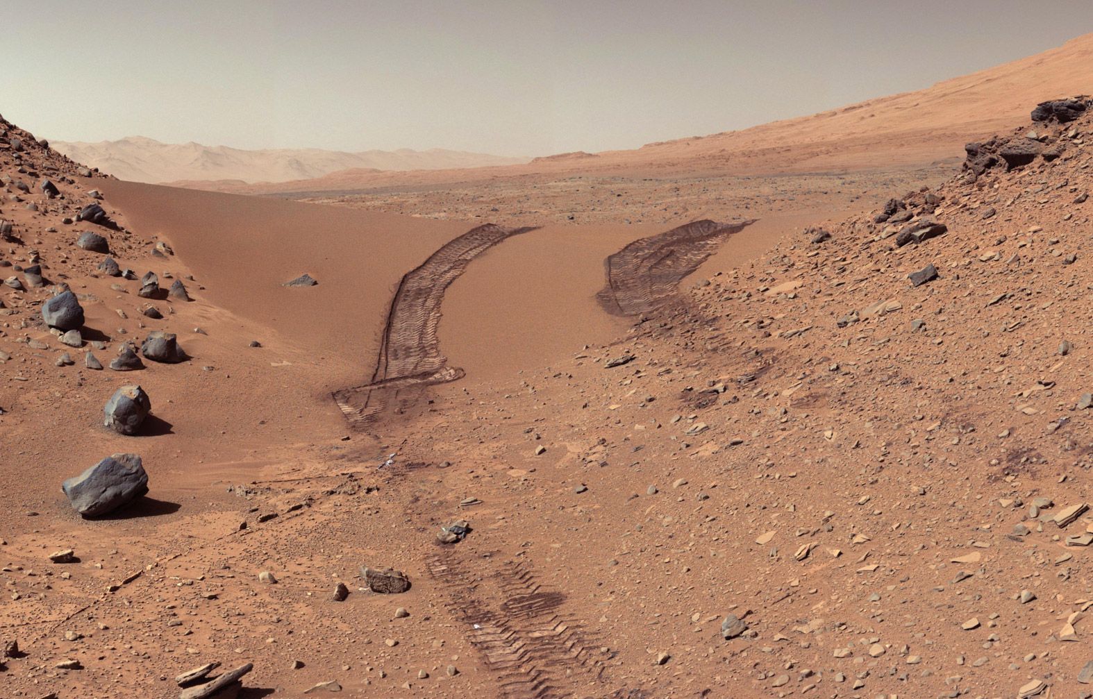 curiosity.jpg