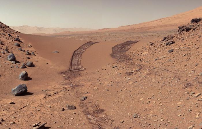 curiosity.jpg