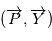 (\overrightarrow{P}, \overrightarrow{Y})