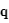 vecteur(q)
