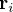 {\bold r}_i