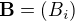 \bold B = (B_i)